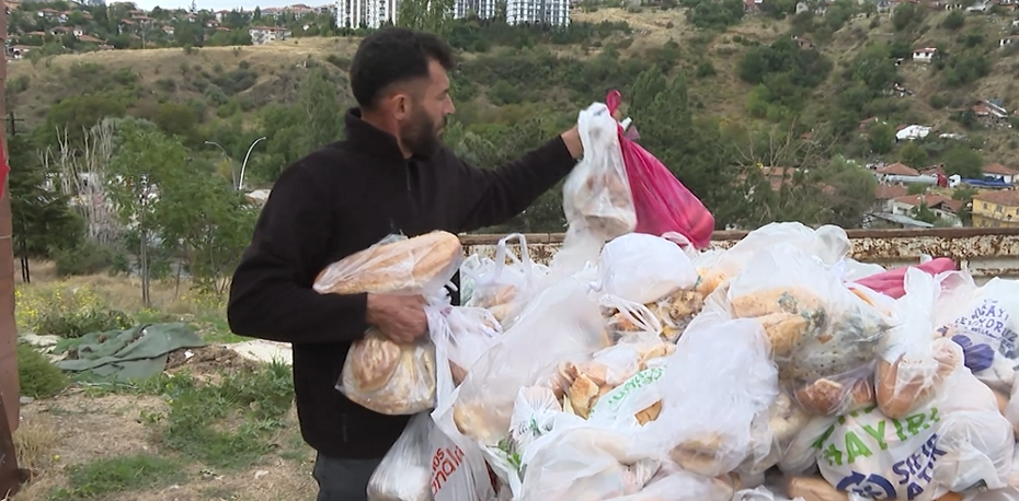 14 Aydır Ekmek İsrafını Önleyip Hayvanlara Destek Veren Bir Gönüllü