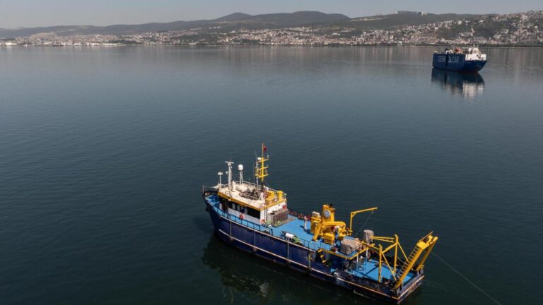 Marmara'da Müsillaj'ın oluşumu azaldı –