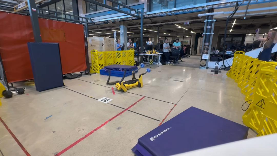 Robot köpek spotu jimnastikçiler aramadı: halka açık anlar 